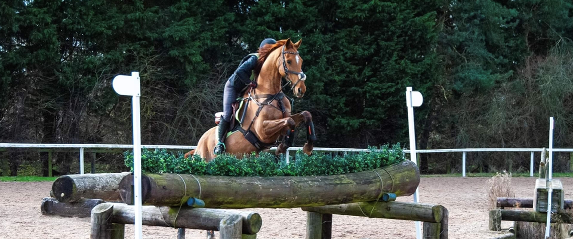 attington stud