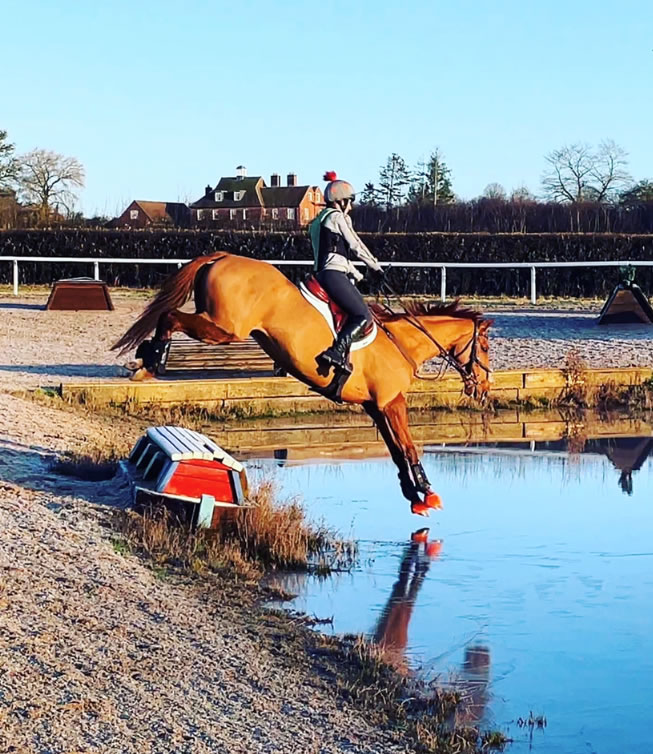 attingtonstud img 3