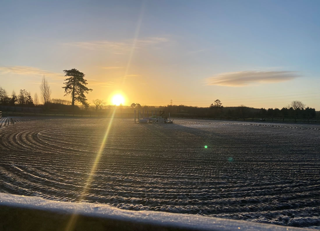 attingtonstud prices 3